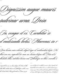 Please, talk with the author for commercial use or for any support. Sloop Script Three Script Fonts Math