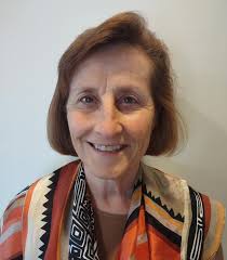 Educator Fellows' projects