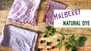 Natural Color D I Y Natural Dye Color From Mulberry D I Y Purple In 2020 Natural Dyes Diy Natural Products Dye
