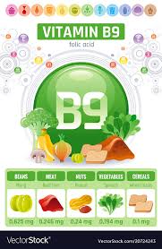 Folic Acid Vitamin B9 Rich Food Icons Healthy