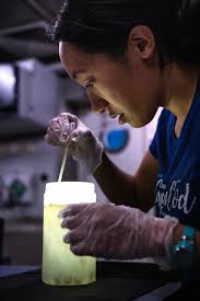 El Instituto Oceánico Schmidt y la National Geographic Society se asocian  para fomentar la diversidad y la equidad en la exploración de los océanos