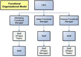 There are types of organizational structures to be observed in different companies. Advantages Of Different Org Structures On Marketing Project Management Creative Web Designs ØªØµÙ…ÙŠÙ… Ù…ÙˆØ§Ù‚Ø¹ Ù…ØµØ±
