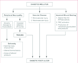 Pathophysiology Of Diabetic Foot Ulcers Download