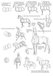 Oh Man I Need This I M Hopeless At Drawing Horses Horse Drawings Animal Drawings Horse Drawing