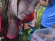 PHOTO GALLERY : Sea Sleuths Camp Spotlight
