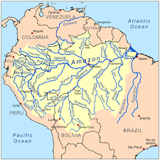 Canal oficial garena free fire no brasil! Amazon Basin Wikipedia