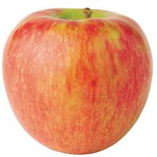 Apple Varieties Usapple