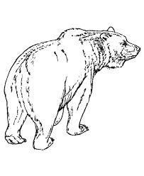 An awesome craftivity for students to put the animals in the book in order. Brown Bear Coloring Page Coloring Home