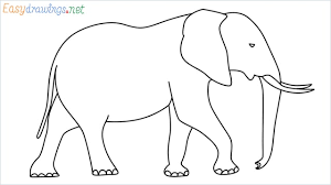 Maybe you would like to learn more about one of these? How To Draw A Elephant Step By Step For Beginners
