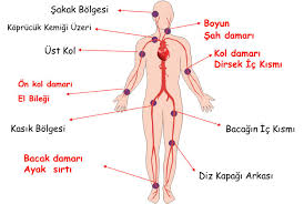 Farklar Kilavuzu Sozlugu Iliskili