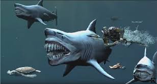 Posteriors are much smaller than the anteriors and laterals and tend to be confused with the mackerel shark teeth. Anna Landin Pa Twitter Anodesu Mesozoicmuse Oh Yeah For Some Reason My Brain Mis Remembered Goblin Sharks As Having Massive Teeth Gt Lt Twitter