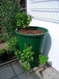 Hochbeet Aus Gerissener Regentonne Bauanleitung Zum Selberbauen 1 2 Do Com Deine Heimwerker Community In 2020 Regentonne Hochbeet Garten Bepflanzen