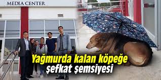Yagmurda Kalan Kopege Sefkat Semsiyesi