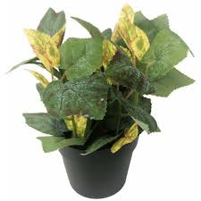 We did not find results for: Kunstliche Blumen Zu Top Preisen