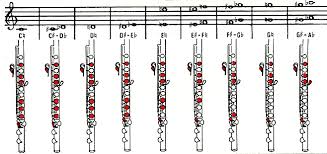 How To Play Flute Finger Chart Flute Finger Chart