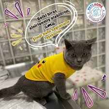Pets Home Diyarbakir Home Facebook