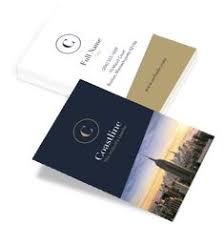 Includes a free household card. 12 Best Costco Business Cards Ideas Costco Business Business Cards Cards