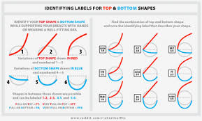 78 Expository Breast Size In Fruit