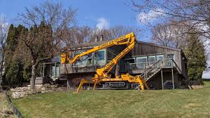 Professional Tree Care Services | Alliance Tree Service | Fenton, MI