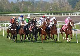 Check spelling or type a new query. Frank Stronach Will Teuerstes Galopprennen Der Welt Veranstalten Propferd At Osterreichs Unabhangiges Pferde Portal News Aktuelle News