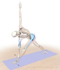 Half moon pose tips the classic standing balance on its side. Revolved Half Moon Pose 3 Steps To Lift And Stabilize The Pelvis Yogauonline