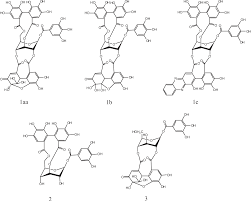 Image result for Phyllanthus muellerianus