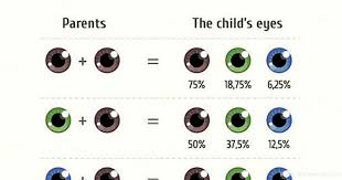 a look at genetics and dominant traits from best facts