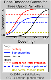 lecture slides drugs and the brain experimental study