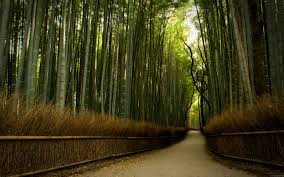 Image result for top images hd