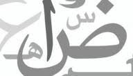 كيف نحافظ على اللغة العربية موضوع
