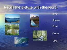 Jim was incredibly helpful in pointing out areas of interest for us to explore nearby. What Is The Difference Between A Lake A River And A Stream Education Nigeria