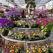 Check spelling or type a new query. Garden Scents Garden Center Home Facebook