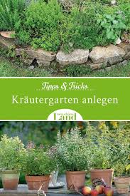 Kr Uter Sind Wahre Allesk Nner Sie Berzeugen Nicht Nur Geschmacklich Sondern Auch Optisch Im Eigenen Garten Wi In 2020 Easy Plants To Grow Herbs Outdoor Gardens