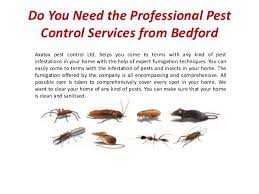 Summer is here soon and that means pests — whether you're dealing with ants or roaches, you can do some damage control on your own. Do You Need The Professional Pest Control Services From Bedford