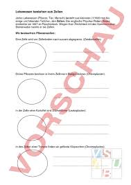 Kostenlose arbeitsblätter und unterrichtsmaterial für die grundschule zu den fächern deutsch, mathe, sachkunde und englisch sowie arbeitsblatt generatoren. Arbeitsblatt Lebewesen Bestehen Aus Zellen Inkl Losung Biologie Zellbiologie Cytologie