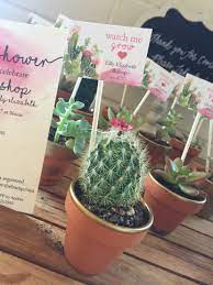 But if you're still in the early planning stages, some of these ideas might help you choose your party's personality. Cactus Party Favor Taco Baby Shower Cactus Party Fiesta Baby Shower