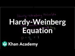 There are two equations necessary to. Hardy Weinberg Equation For Equilibrium Video Khan Academy