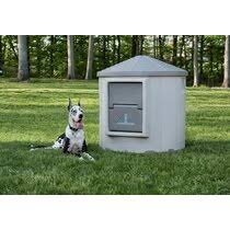 We did not find results for: Plastic Dog Houses You Ll Love In 2021 Wayfair
