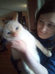 Lost cat in Fairfield, Ohio, near Suwannee Drive