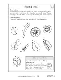Pin By Lilsunflower On Coloring Pages Science Worksheets Kindergarten Science 1st Grade Science