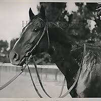 We did not find results for: Top 80 Horse Racing Blogs And Websites To Follow In 2021