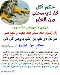 Pin By Nana On فقه وفتاوى متنوعة Islam Hadith Positivity