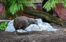 Března jste celkem věnovali 19 143 649. Zoo Zlin Navstevnost Rok 2017