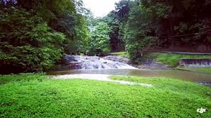 Home for numerous species of flora and fauna. Bukit Lagong River Shoot 26 08 2017 Nubees Shot Youtube