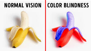 Check spelling or type a new query. What It S Like To Be Color Blind Videos