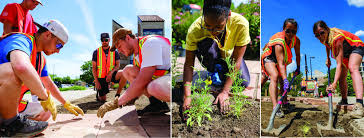 Environmental Design Students Create Pollinator Garden On Campus Environmental Design University Of Colorado Boulder