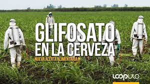 Despite a probably carcinogenic to humans classification from the international agency for research on cancer in 2015, the national. Glifosato En La Cerveza Nueva Alerta Alimentaria Loopulo