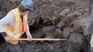 New Episode 2026:Oak Island Treasure Has Finally Been Found at Smith's  Cove! Rick Lagina Confirms It Recent excavations at Smith's Cove have  revealed a buried structure that appears to be deliberately constructed—far