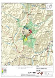 Image result for Lopholaena sp.no.1