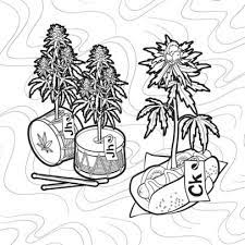 This coloring book gets an a+ and a smiley face. Wiz Khalifa S Weed Farm Coloring Book By Wiz Khalifa Paperback Barnes Noble